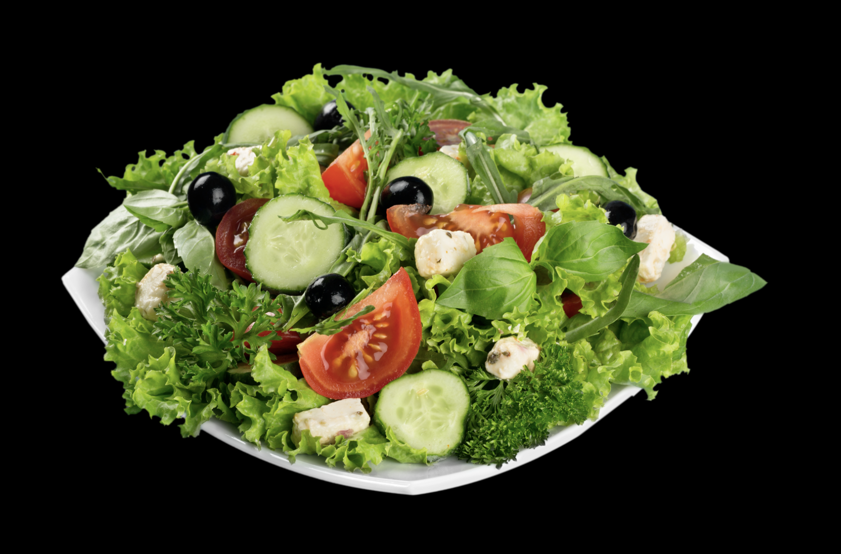 FRISCHER THUNFISCH