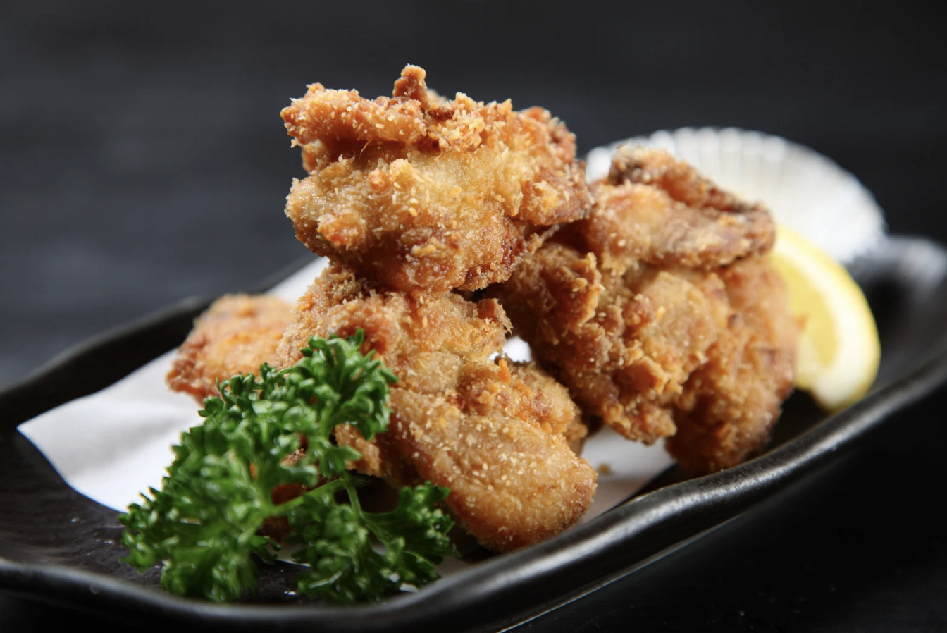 TORINO KARAAGE